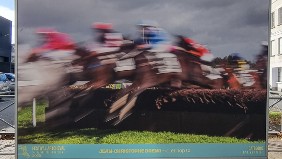 kunstfoto tijdens artcheval
