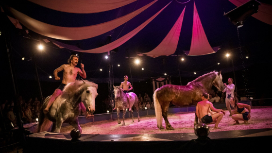 beeld van mannen en paarden in paardencircus