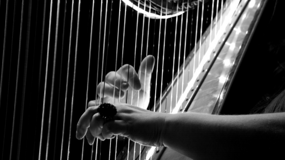 Kunstacademie: Harp