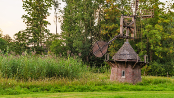 molentje in park Baron Casier