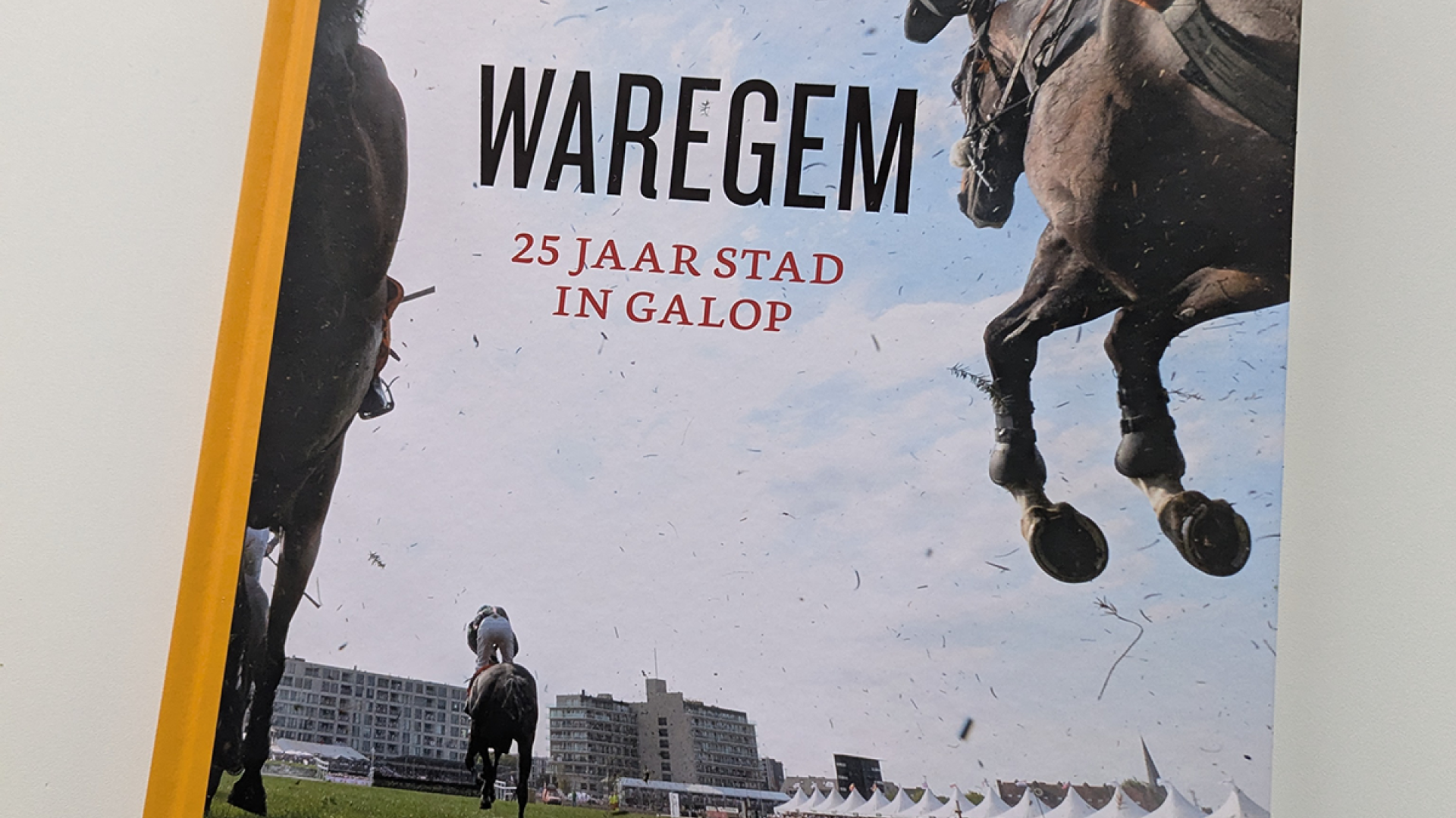 Cover van boek 25 jaar stad