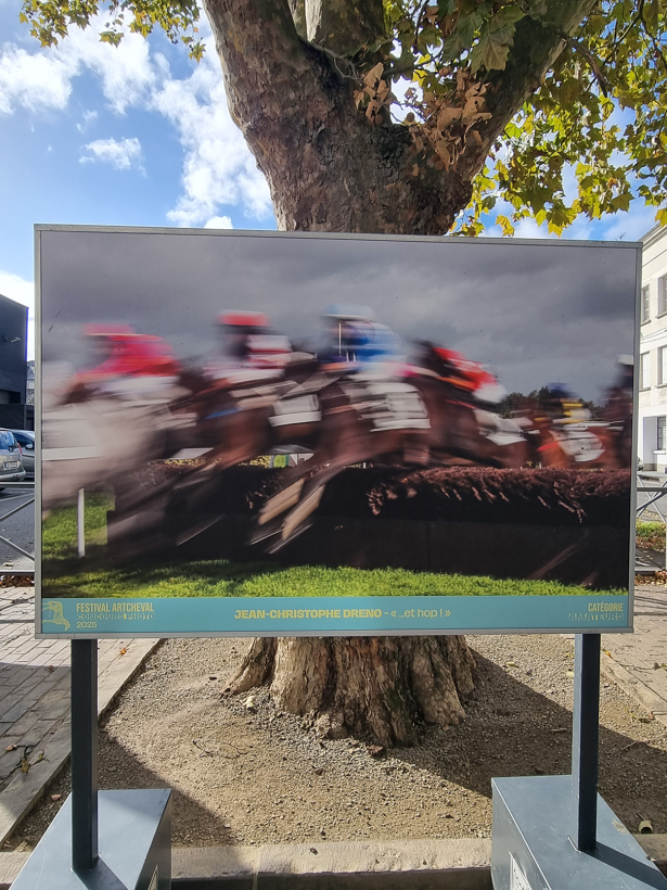 kunstfoto tijdens artcheval
