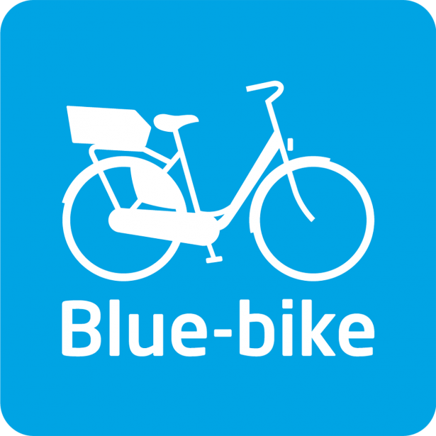 Logo blue bike