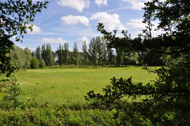 Spoorwegberm